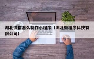 河北湖北微信怎么制作小程序（湖北微程序科技有限公司）